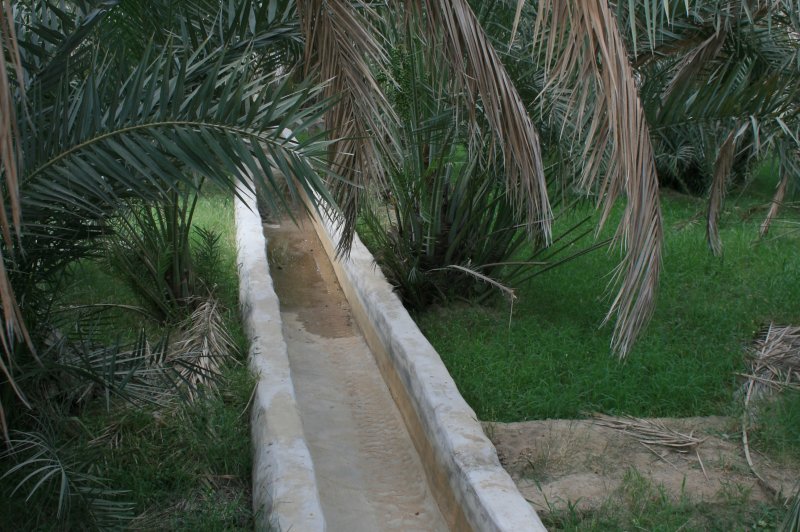 Al Ain 2007 002. (Foto: CC/Flickr.com | Bob McCaffrey)