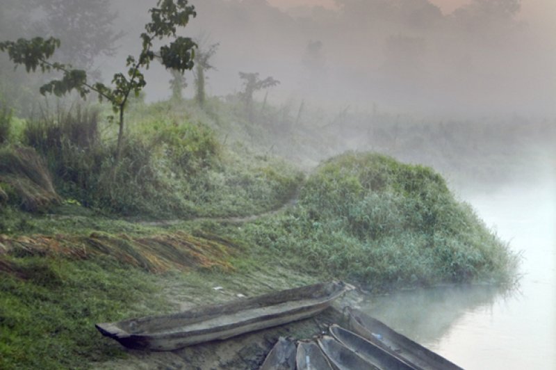 Chitwan National Park - Nepal. (Foto: CC/Flickr.com | Rob)