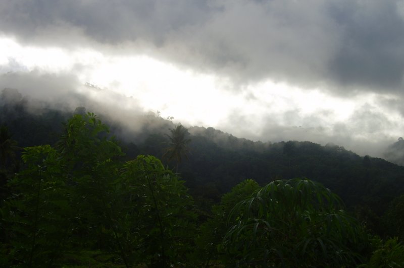 cloud forest not raining right now . (Foto: CC/Flickr.com | Felix Krohn)