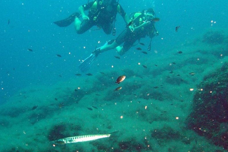 Diving with barracudas. (Foto: CC/Flickr.com | olaszmelo)