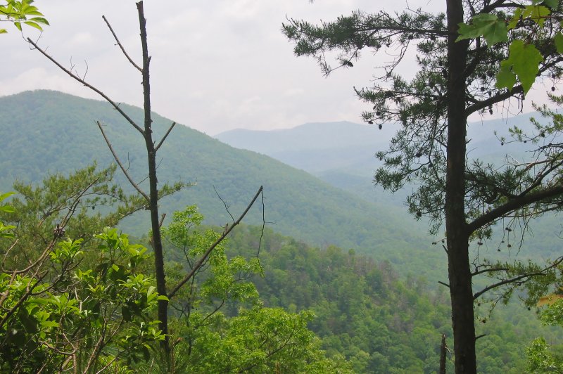 Great Smoky Mountains from Roundtop. (Foto: CC/Flickr.com | pfly)