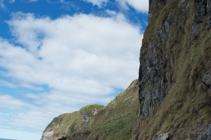 Inaccessible Island Cliffs. (Foto: CC/Flickr.com | Brian Gratwicke)