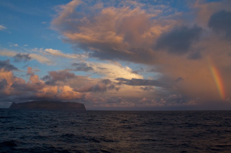 Inaccessible island rainbow. (Foto: CC/Flickr.com | Brian Gratwicke)