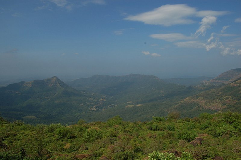 India-Western Ghats, Maharashtra-March 2012. (Foto: CC/Flickr.com | Trees ForTheFuture)