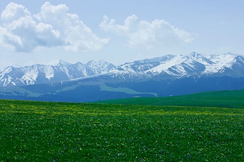 Kalajun Highland Grassland . (Foto: CC/Flickr.com | (Yunsheng) (Bai))