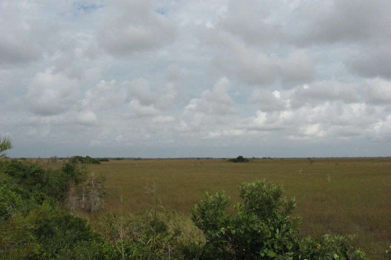 Pa-hay-okee Lookout Tower View Everglades NP . (Foto: CC/Flickr.com | Brian Henderson)