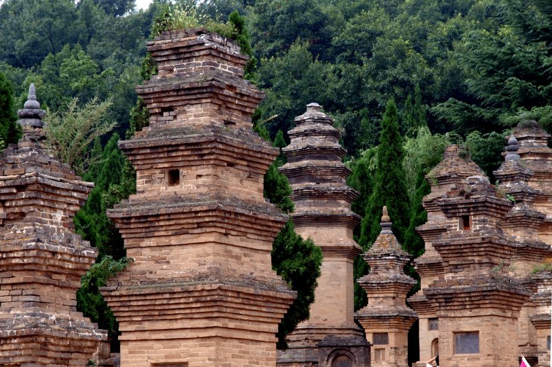 pagoda forest. (Foto: CC/Flickr.com | mararie)