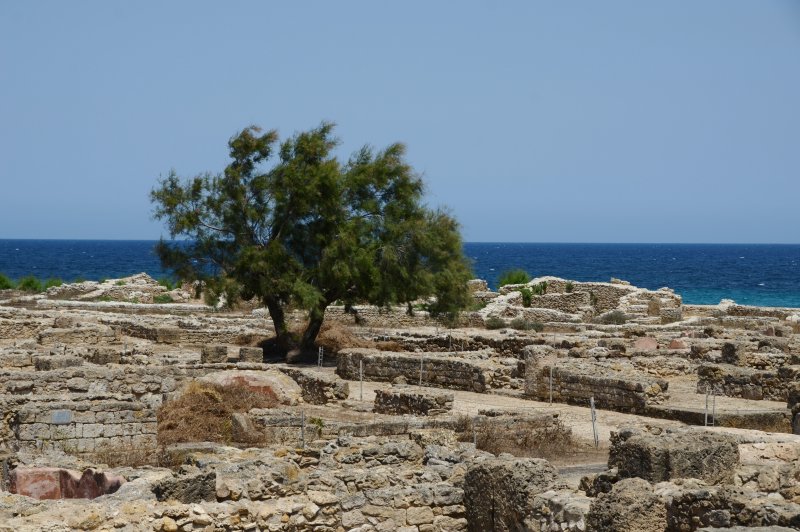 Punic settlement of Kerkouane, 4th-2nd cents. BCE 19 . (Foto: CC/Flickr.com | Richard Mortel)