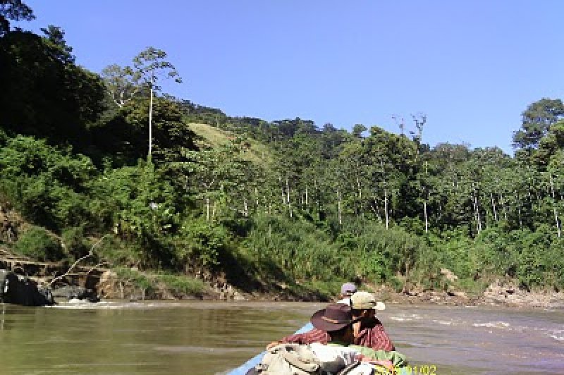 Rio Platano Honduras. (Foto: CC/Flickr.com | International Rivers)