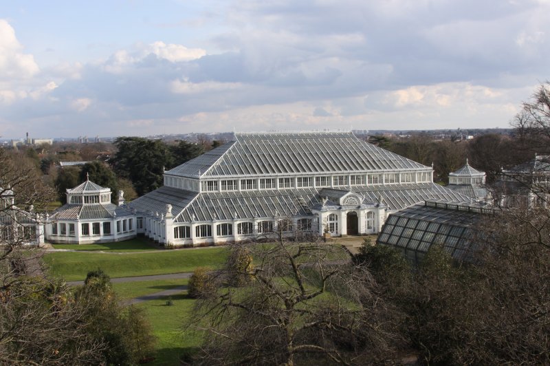 Temperate House. (Foto: CC/Flickr.com | Drew Avery)