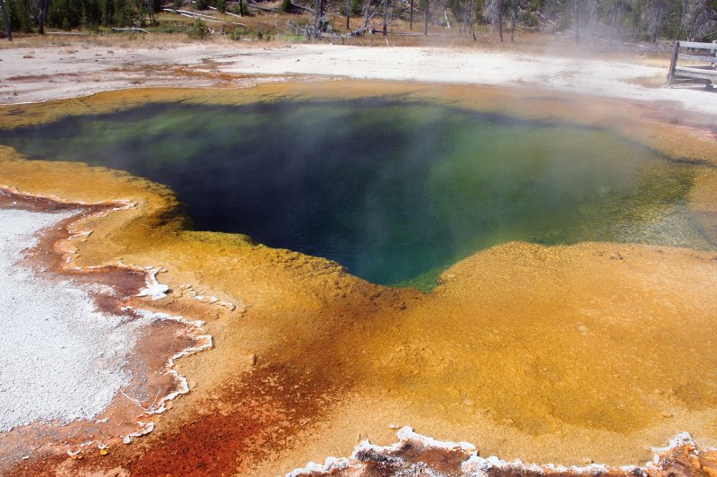 Yellowstone National Park. (Foto: CC/Flickr.com | Pascal)
