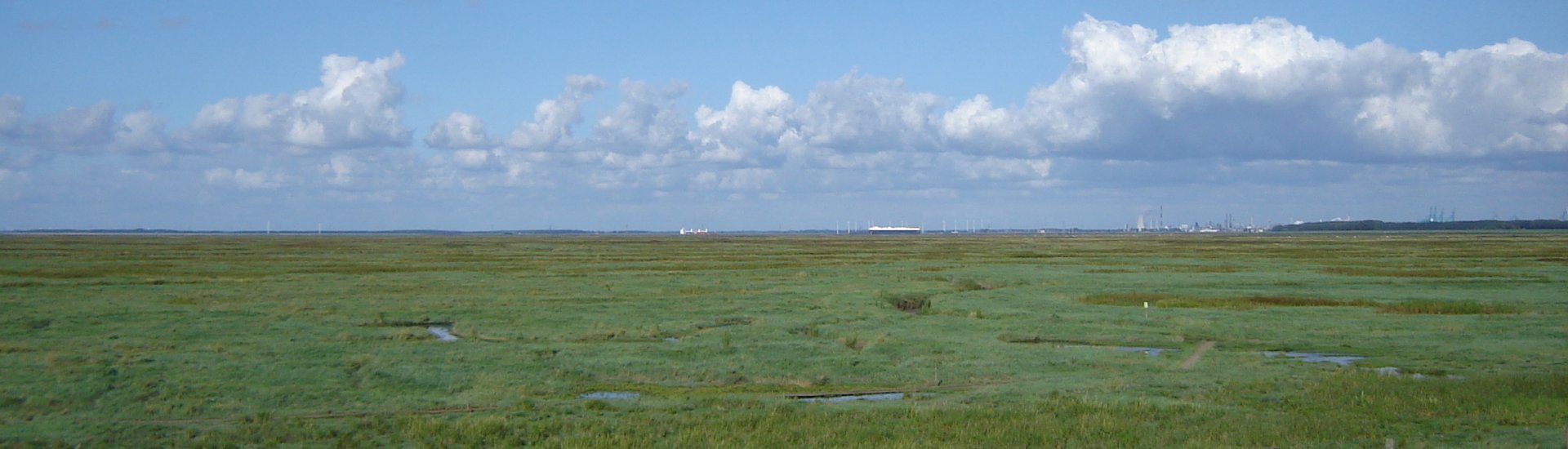 Verdronken Land van Saeftinghe, gezien vanaf de dijk ter hoogte van Emmadorp.