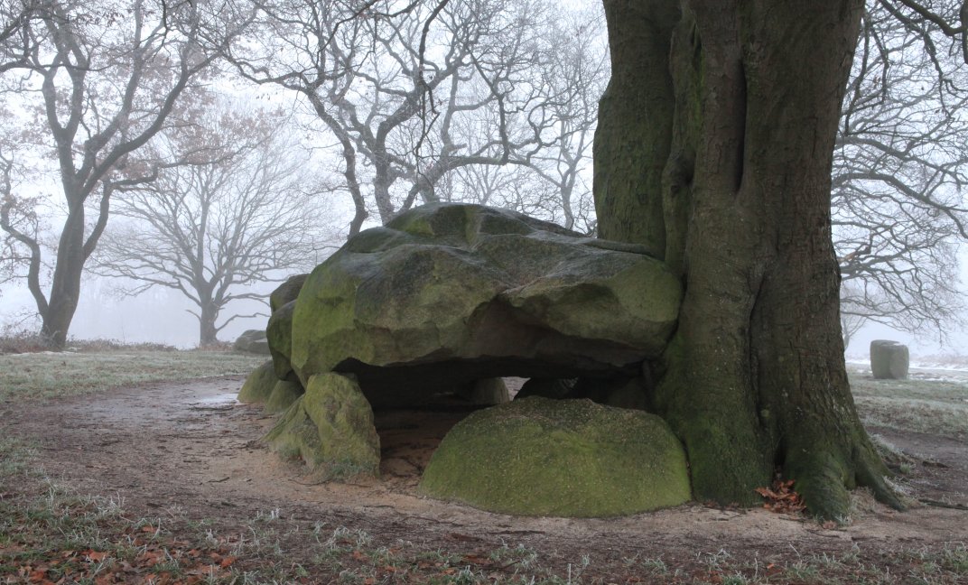 Hunebed D21 bij Bronneger in Drenthe, onderdeel van Unesco Global Geopark de Hondsrug