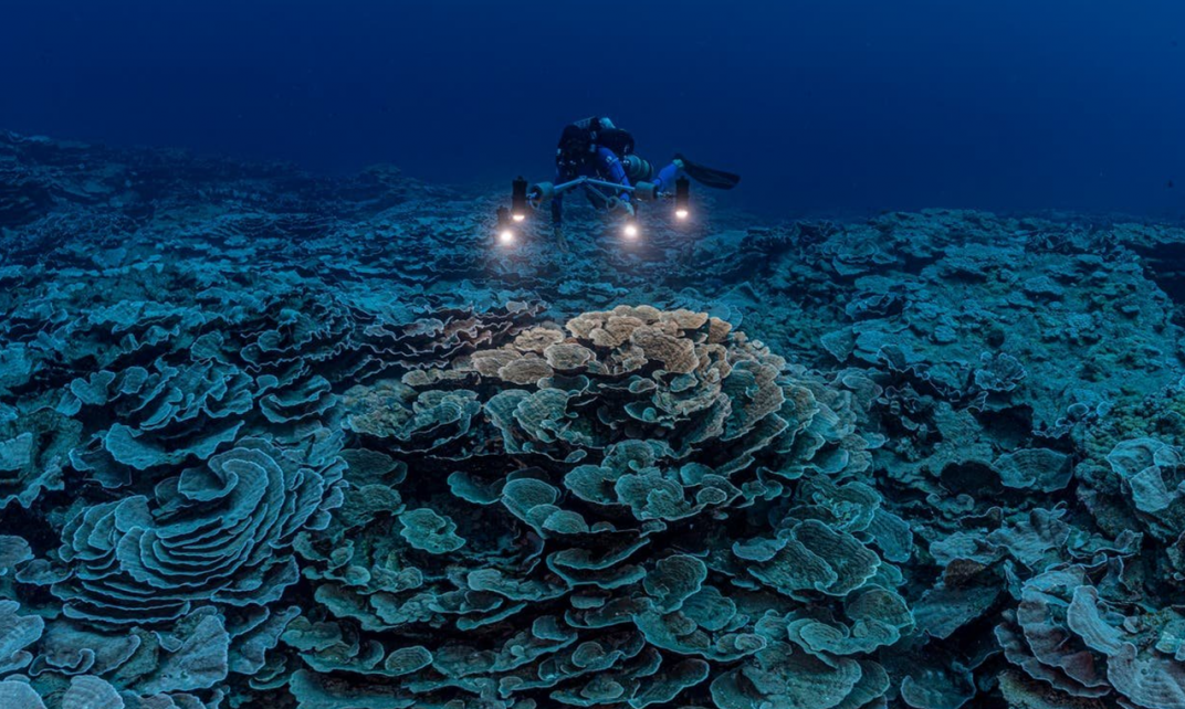 Een door Unesco gesteunde wetenschappelijke onderzoeksmissie heeft voor de kust van Tahiti een van de grootste koraalriffen ter wereld ontdekt. 