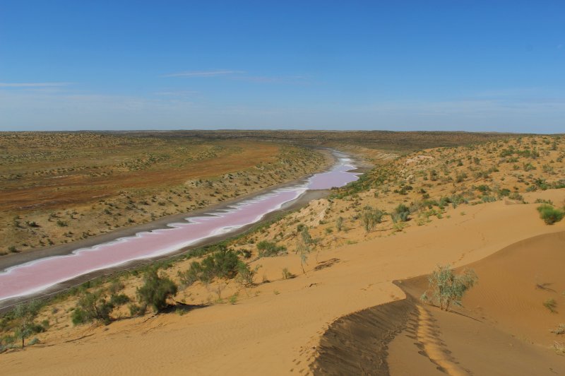 Oude rivier Unguz in Bereketli-Garagum, de roze kleur wordt veroorzaakt door hoge zoutconcentraties. (Foto: © A. Pavlenko | https://whc.unesco.org/en/documents/193069)